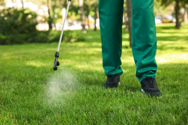 Best Termite Control Services  in Sanborn, NY
